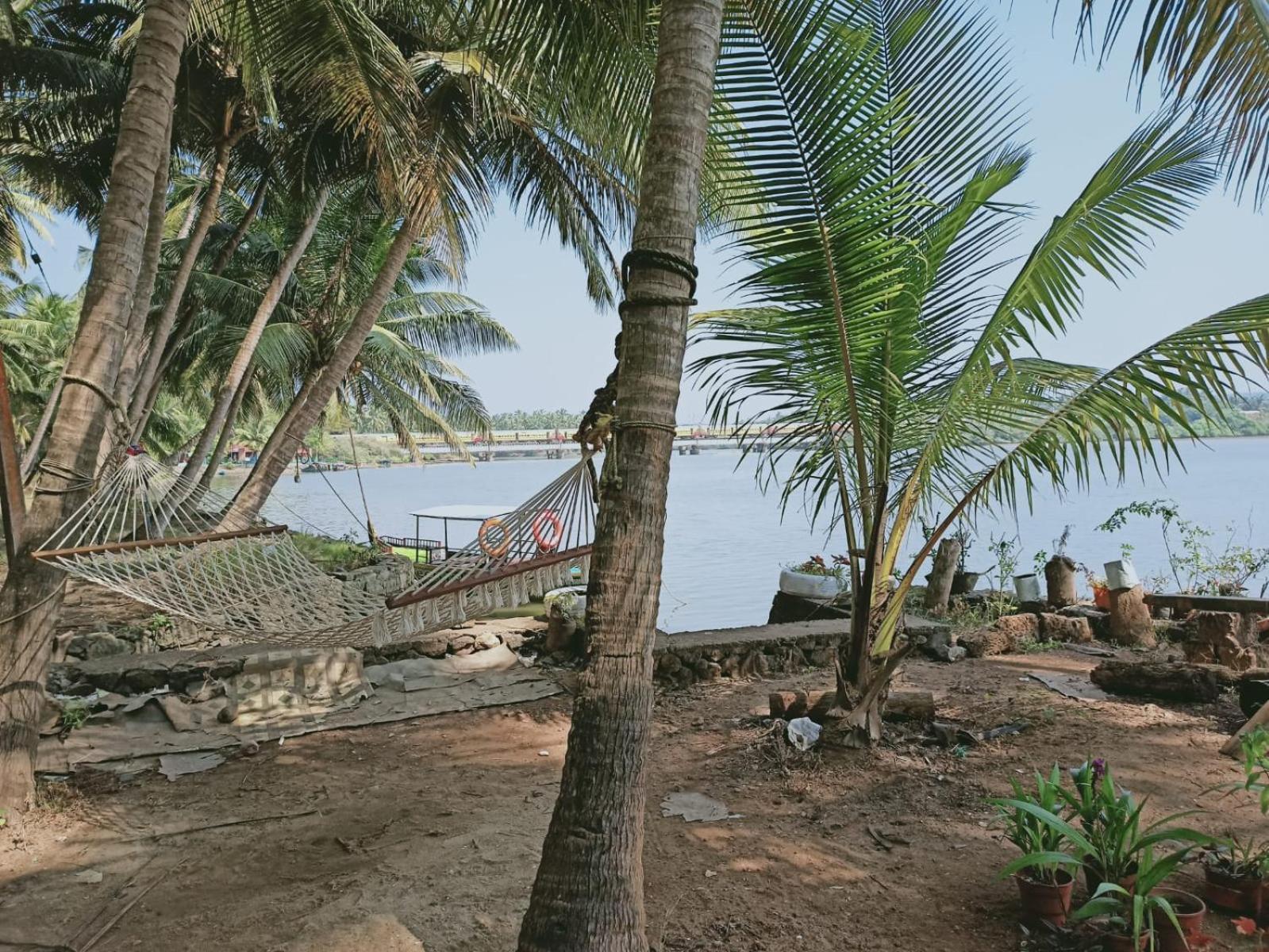 Green Island Homestay Riverside Kozhikode Exterior photo